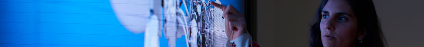 Bild zu Head of Export Control Policy